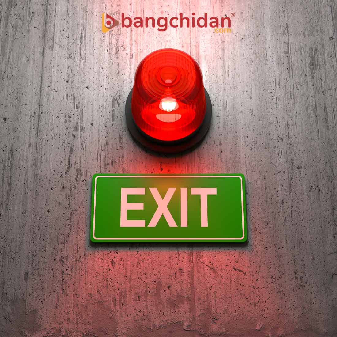 bảng exit